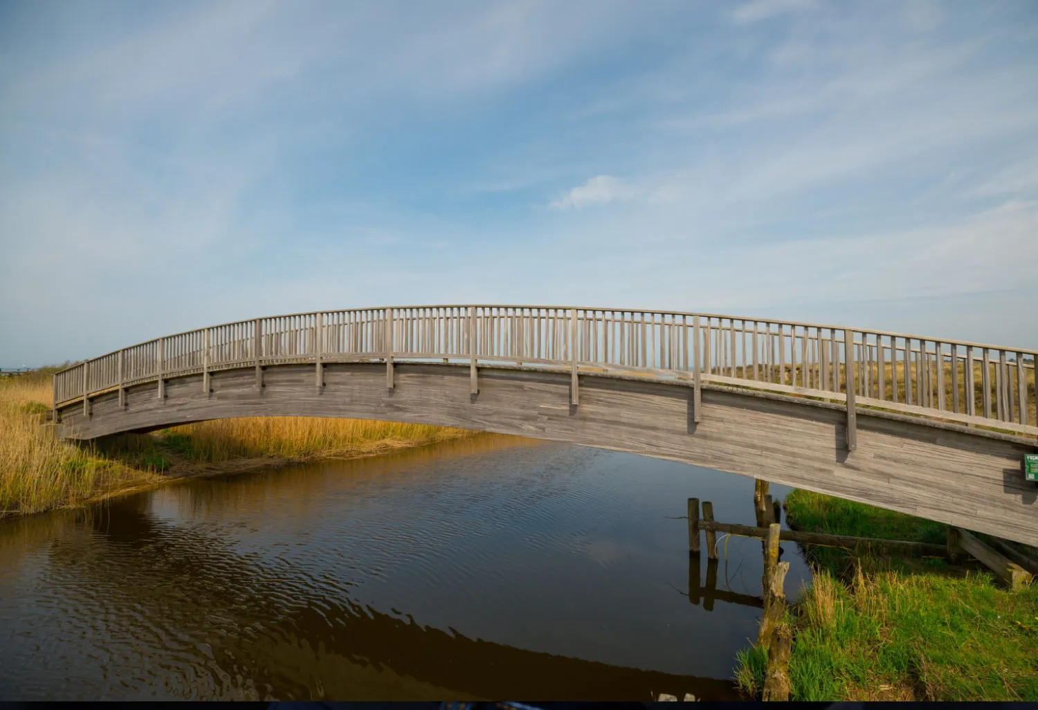 bridging-image
